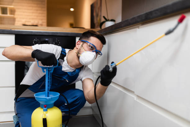 Best Pest Prevention Services  in Reedurban, OH