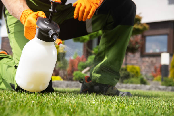 Best Pest Control for Homes  in Reedurban, OH