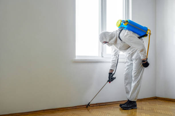 Best Affordable Pest Control Services  in Reedurban, OH