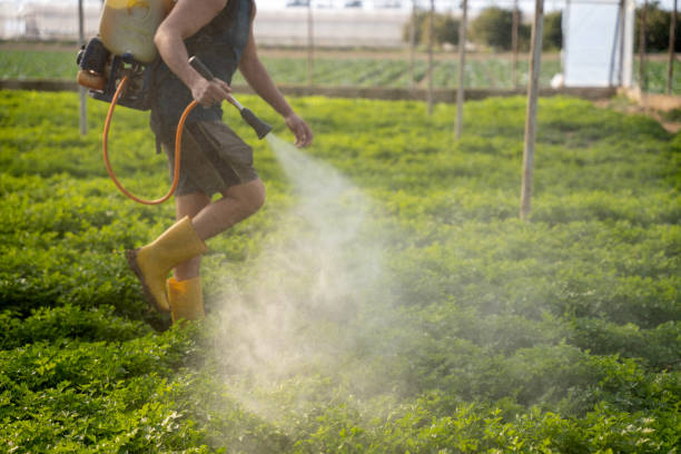Best Affordable Pest Control Services  in Reedurban, OH