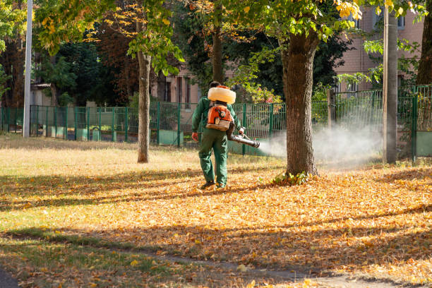  Reedurban, OH Pest Control Pros