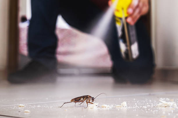 Trusted Reedurban, OH Pest Control Experts