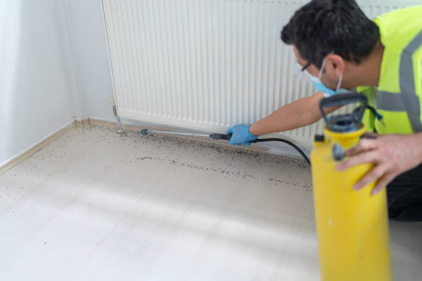 Best Commercial Pest Control Services  in Reedurban, OH