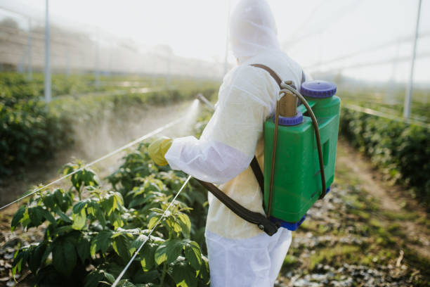 Best Residential Pest Control  in Reedurban, OH